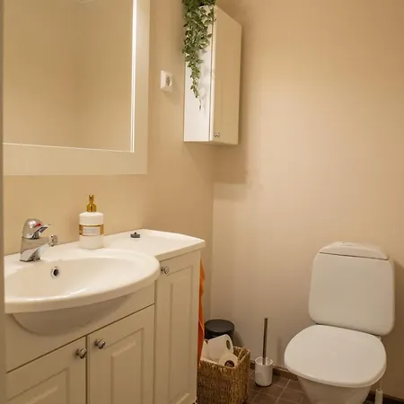 The Polar Roost 로바니에미