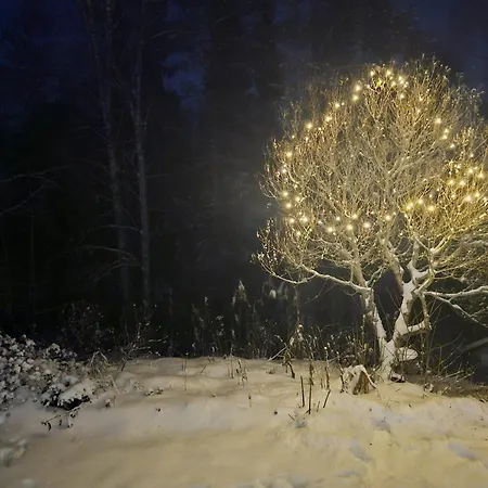 아파트 The Polar Roost *